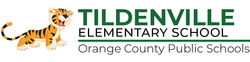 tildenville basketball youth sports